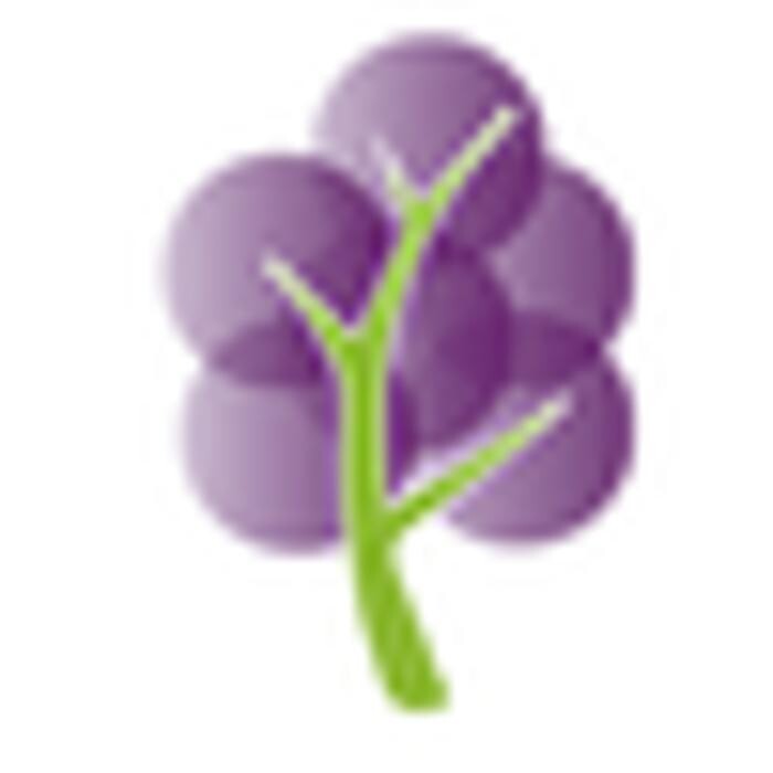 Images Grape Tree Keswick