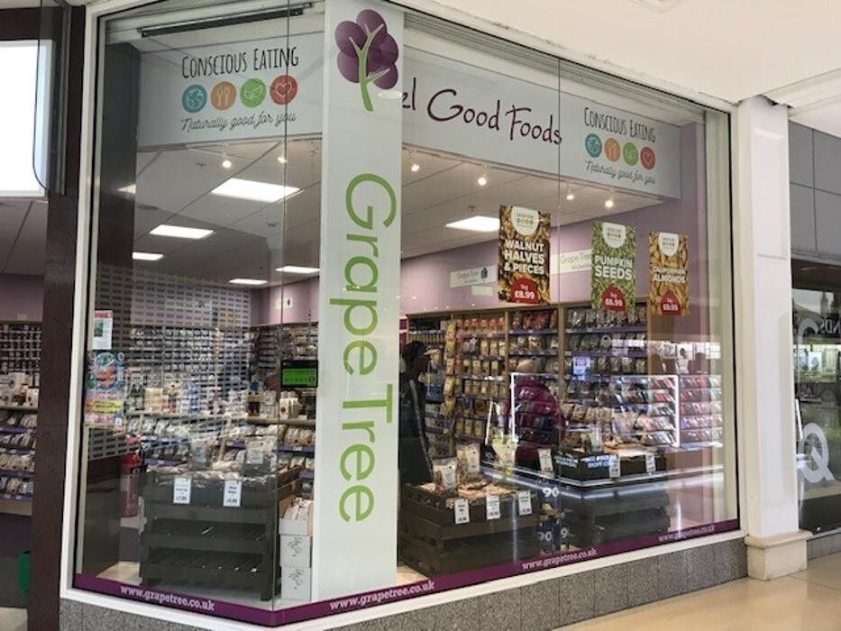 Images Grape Tree Norwich