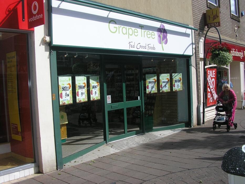 Images Grape Tree Newton Abbot