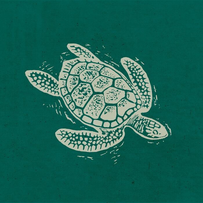 Turtle Bay Norwich Logo
