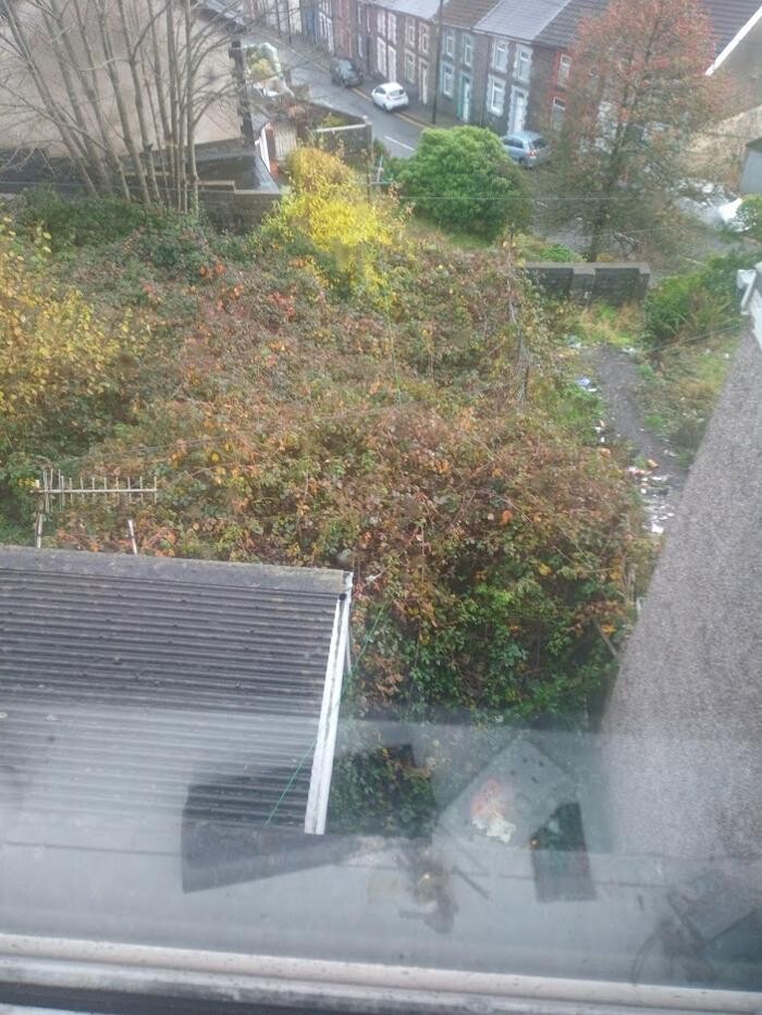 Images Flow Free Gutter Cleaning