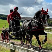 Carrbridge Carriage Driving Logo