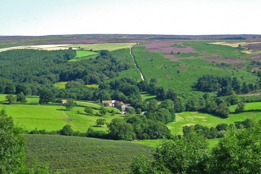 Images Surprise View Cottages