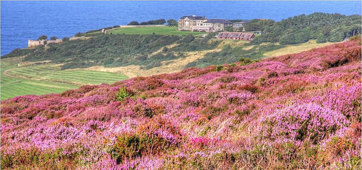 Images Surprise View Cottages