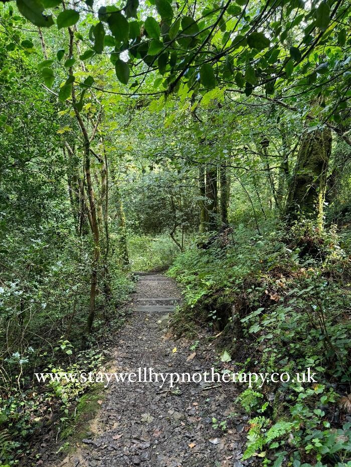 Images Stay Well Hypnotherapy