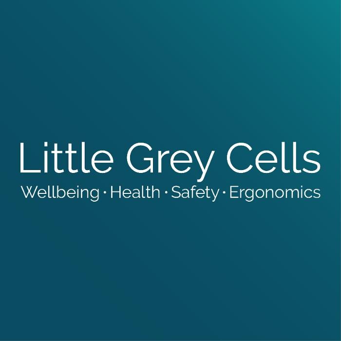Images Little Grey Cells