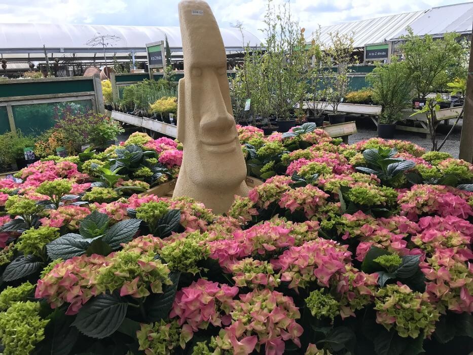 Images Hillier Garden Centre Hampton-in-Arden