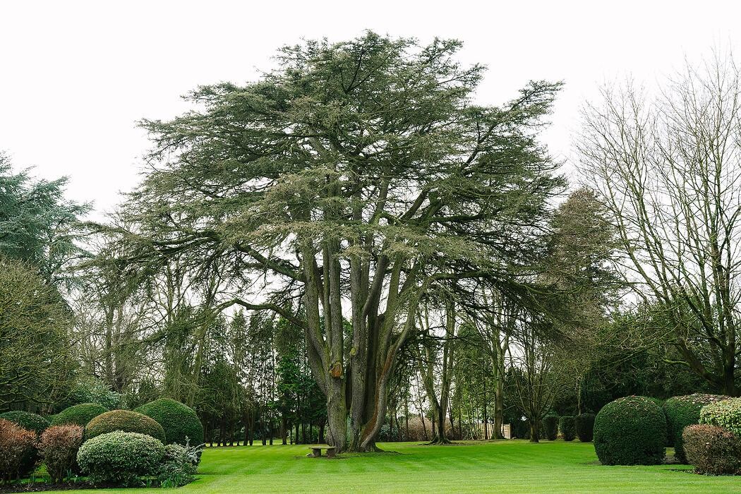 Images Ansty Hall