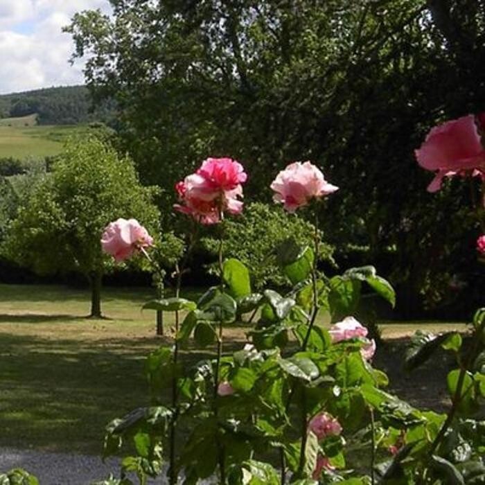 Images Woodcombe Lodges