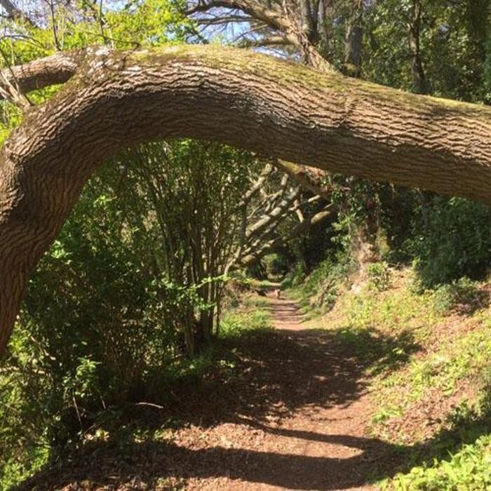 Images Woodcombe Lodges