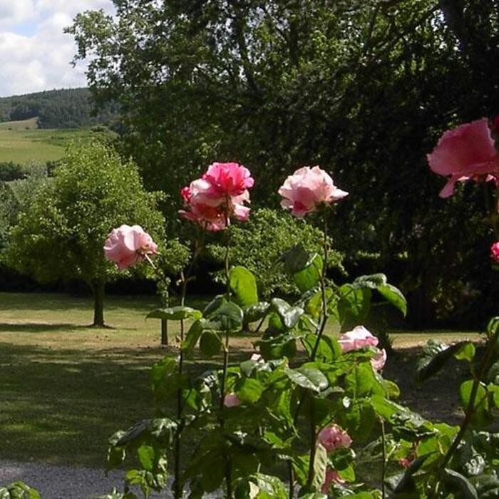 Images Woodcombe Lodges