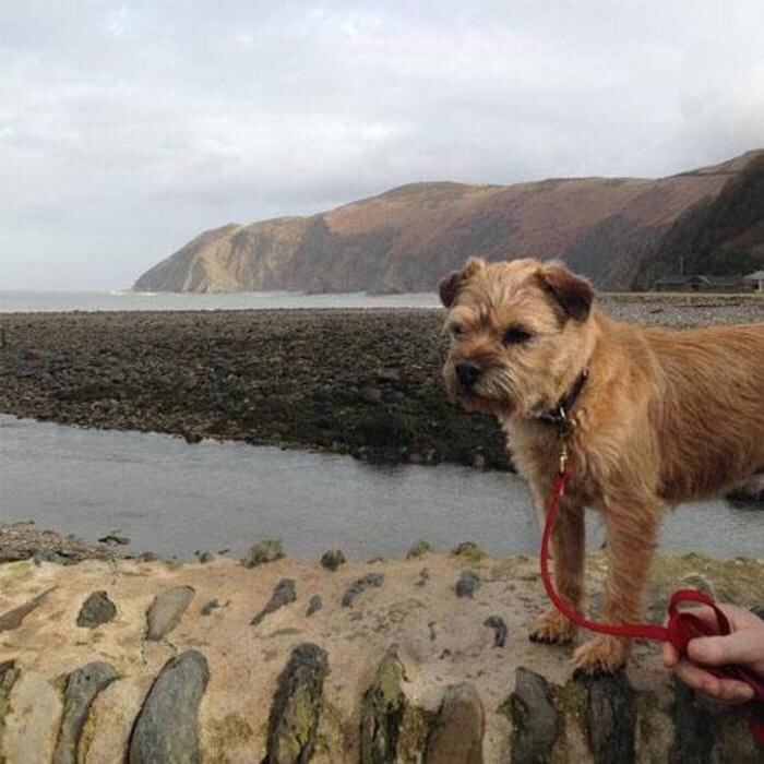 Images Woodcombe Lodges