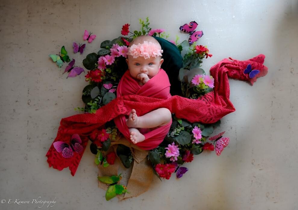 Images E-Kamera Photography