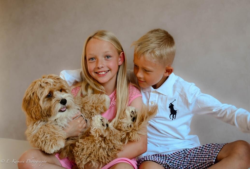 Images E-Kamera Photography