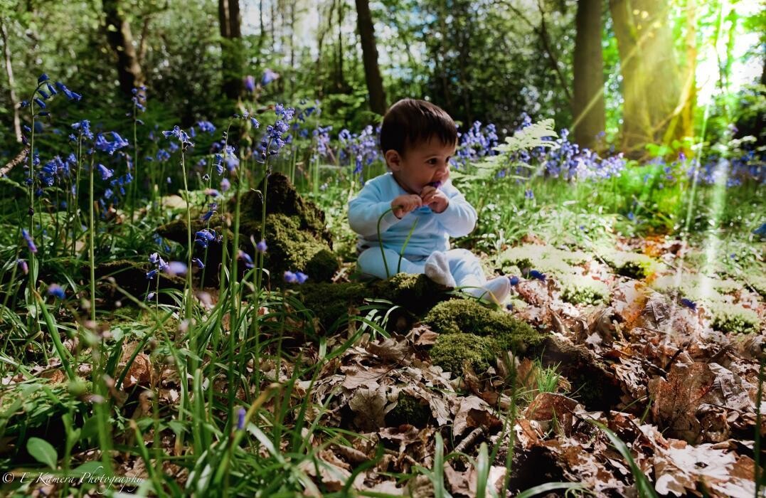 Images E-Kamera Photography