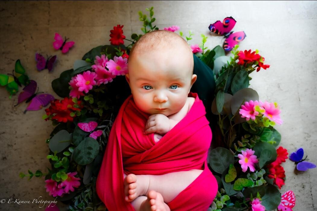 Images E-Kamera Photography