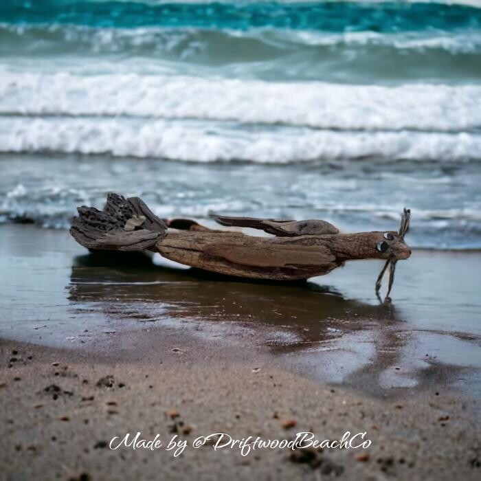 Images DriftwoodBeachCo