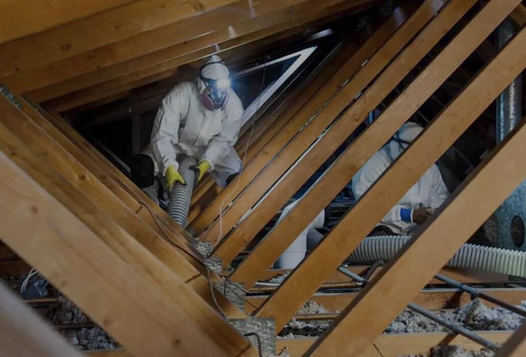 Images British Bird Control - East Midlands