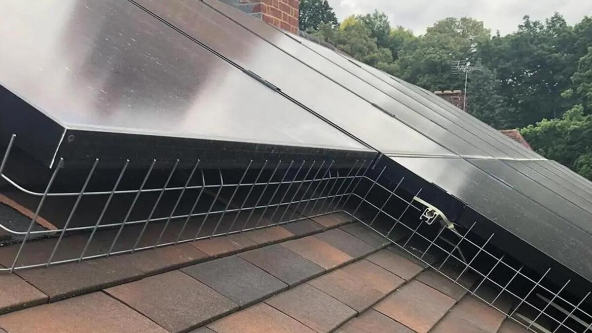 Images British Bird Control - East Midlands