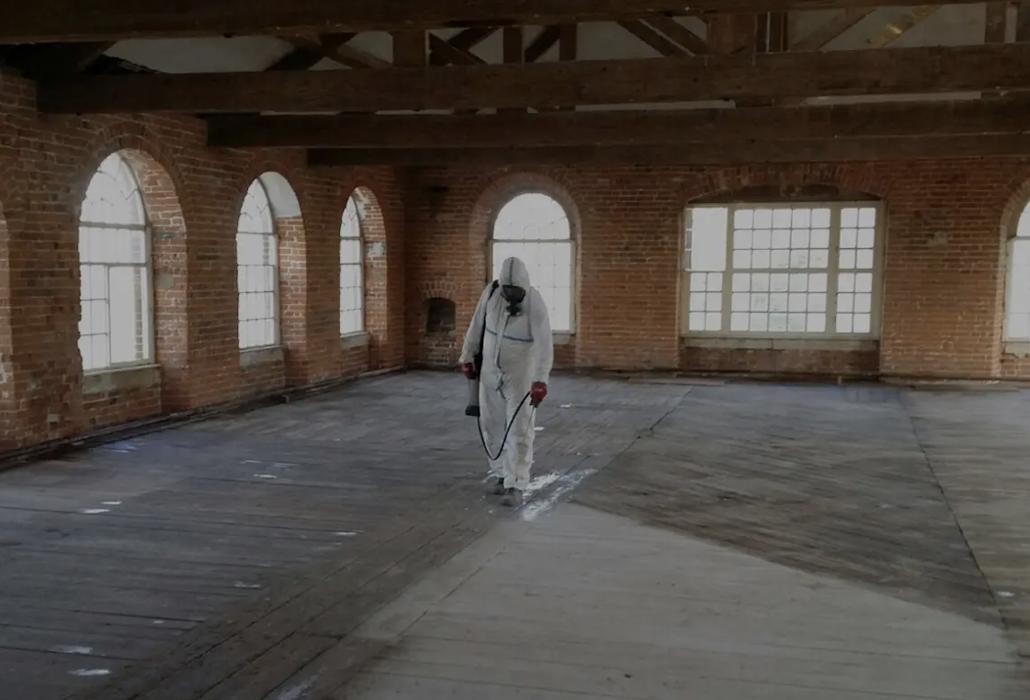 Images British Bird Control - East Midlands