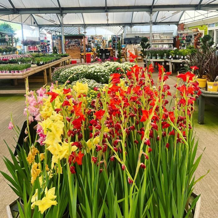 Images Codsall & Wergs Garden Centre