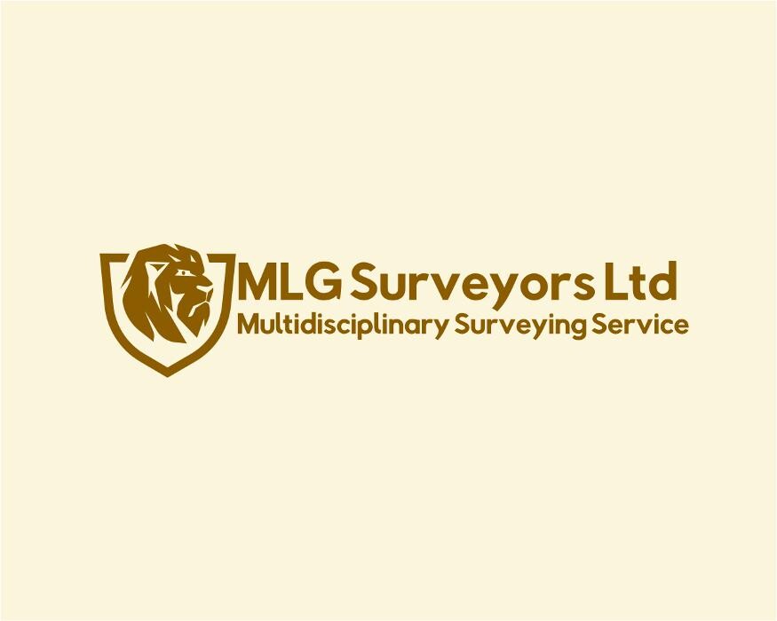 MLG SURVEYORS LTD Logo