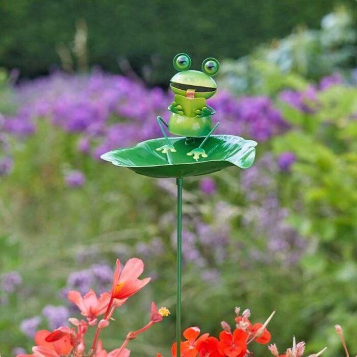 Images Thirsk Garden Centre