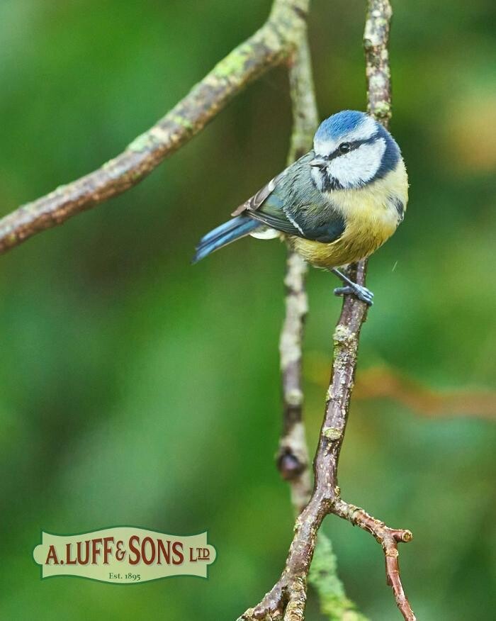 Images Ripley Nurseries & Farm Shop