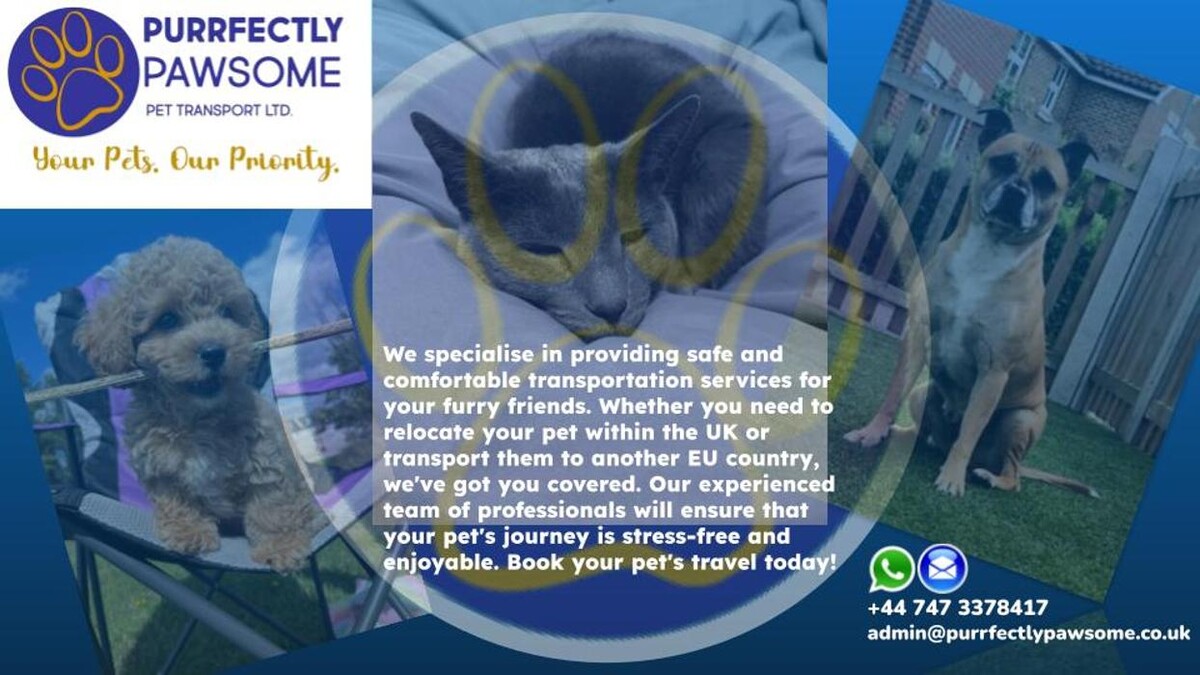 Images Purrfectly Pawsome Pet Transort LTD
