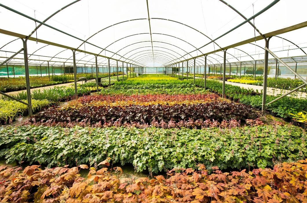 Images Stewarts Broomhill Garden Centre