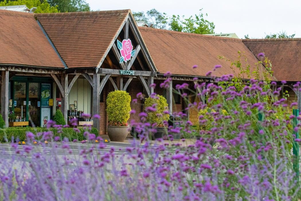 Images Stewarts Broomhill Garden Centre