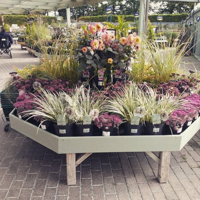Images Stewarts Broomhill Garden Centre