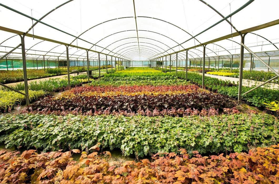 Images Stewarts Broomhill Garden Centre