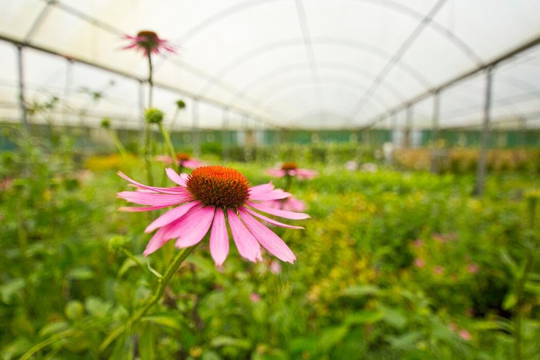 Images Stewarts Broomhill Garden Centre