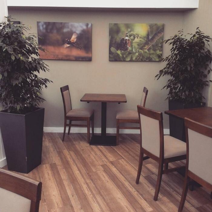 Images Stewarts Broomhill Garden Centre