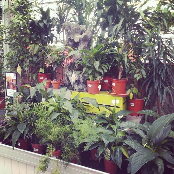Images Stewarts Broomhill Garden Centre