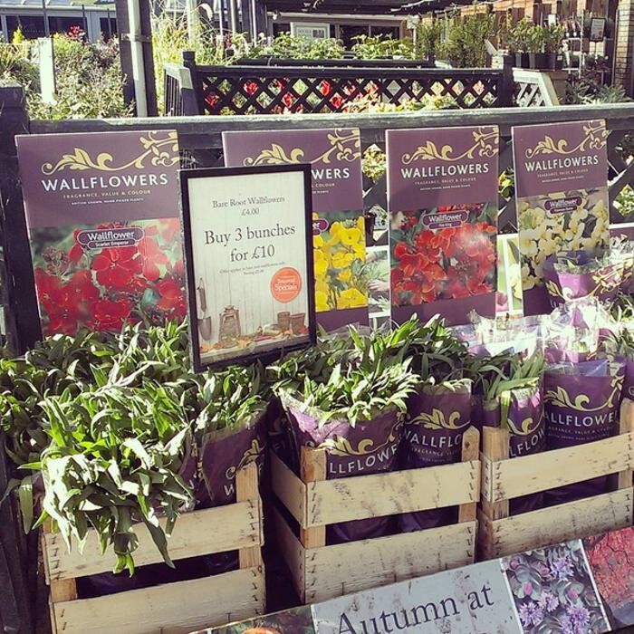 Images Stewarts Christchurch Garden Centre