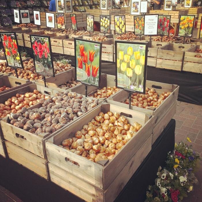 Images Stewarts Christchurch Garden Centre