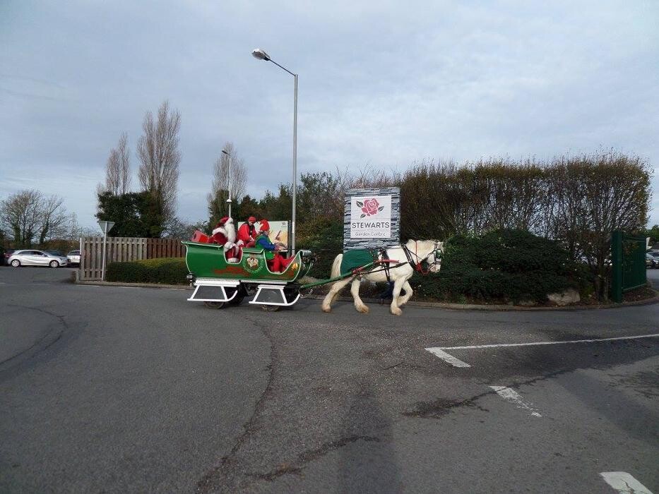 Images Stewarts Christchurch Garden Centre