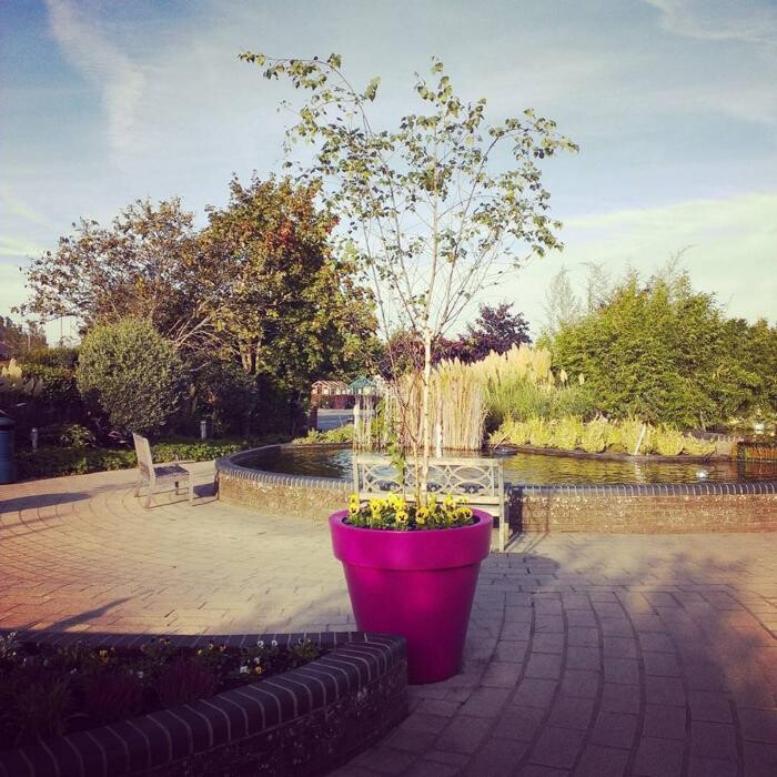 Images Stewarts Christchurch Garden Centre