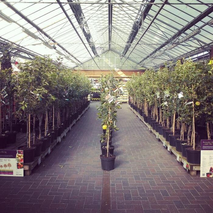 Images Stewarts Christchurch Garden Centre