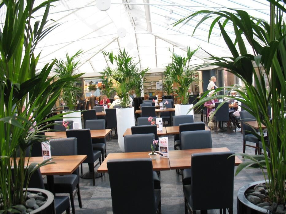 Images Stewarts Christchurch Garden Centre