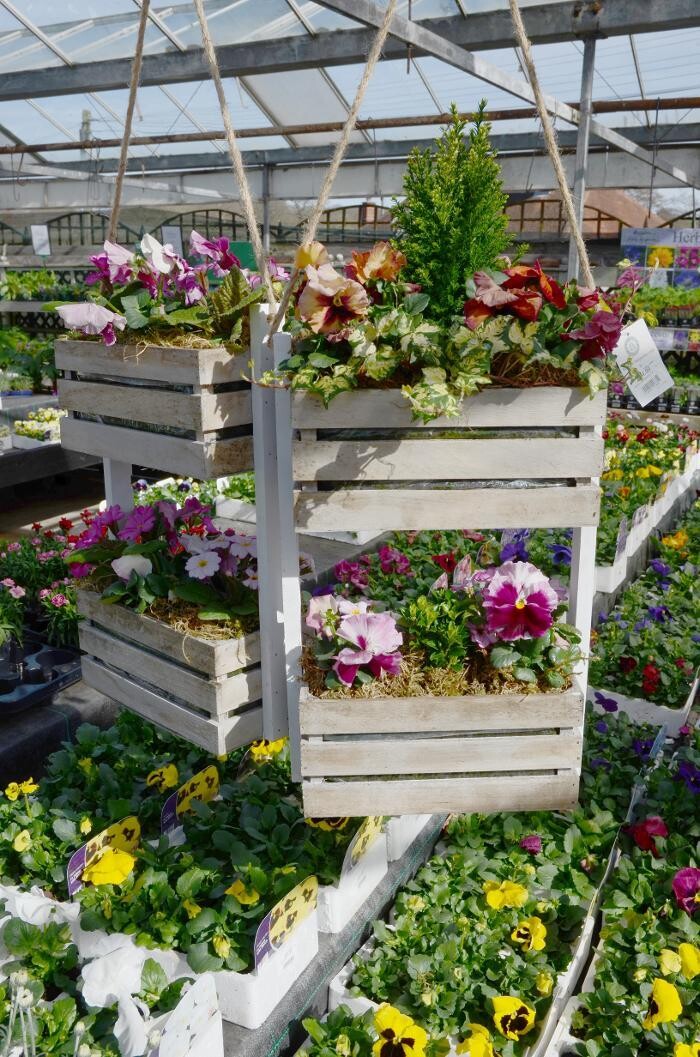 Images Stewarts Abbey Garden Centre