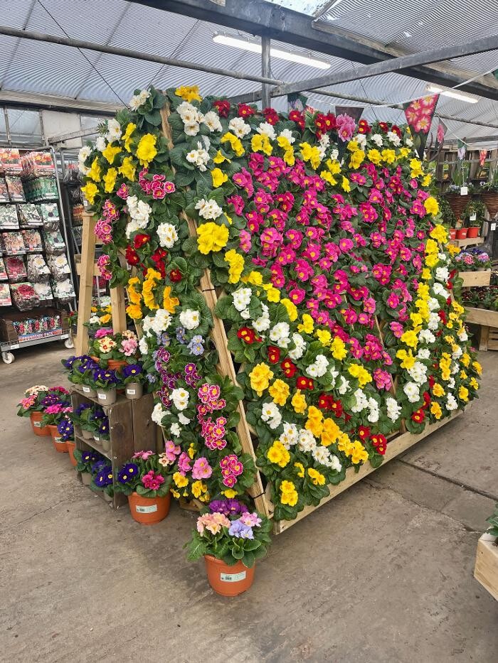 Images Stewarts Abbey Garden Centre