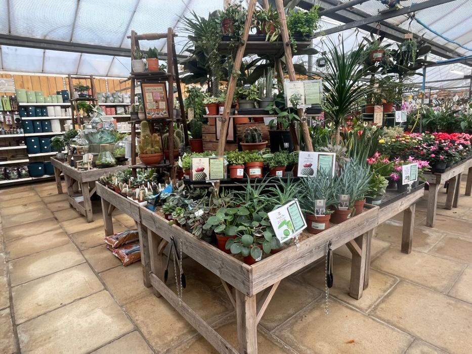 Images Stewarts Abbey Garden Centre