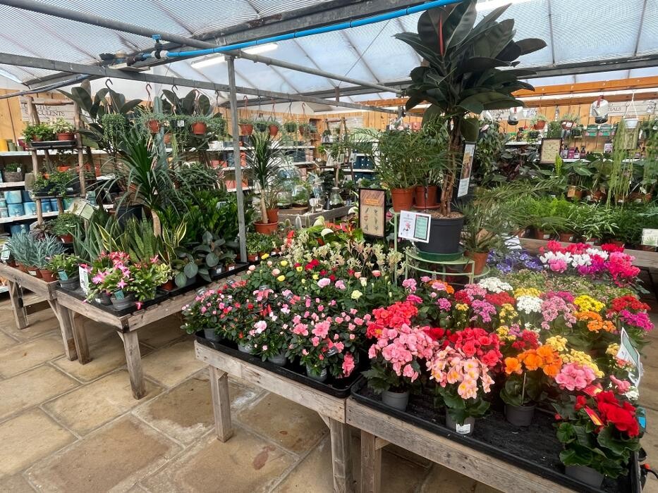 Images Stewarts Abbey Garden Centre