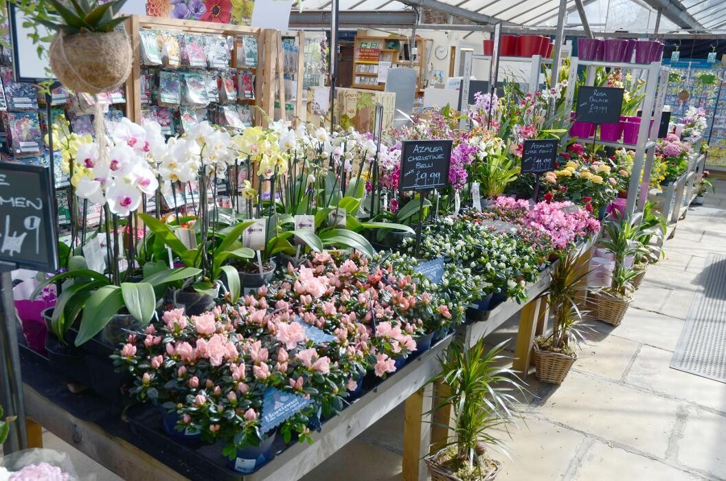 Images Stewarts Abbey Garden Centre