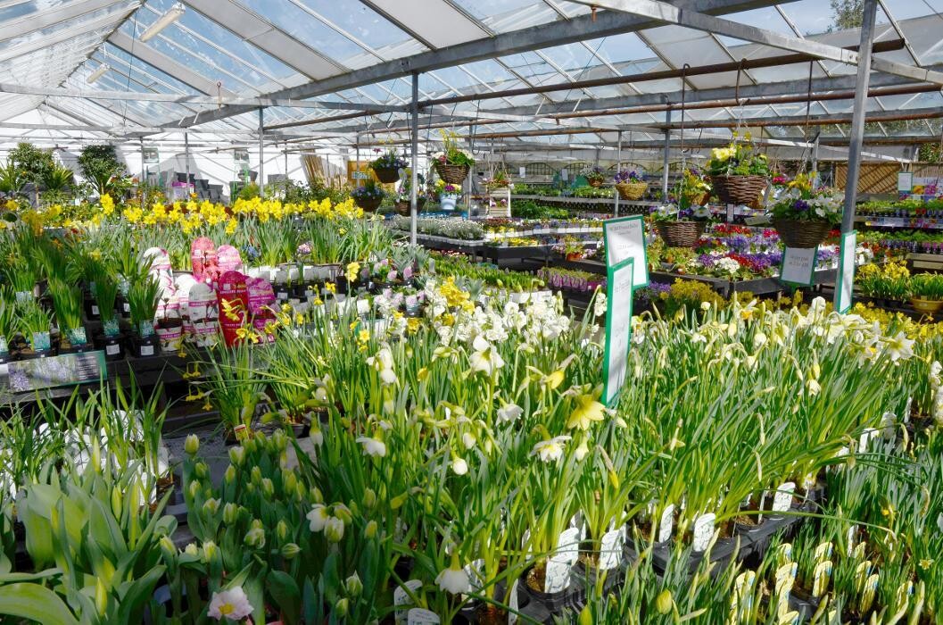 Images Stewarts Abbey Garden Centre