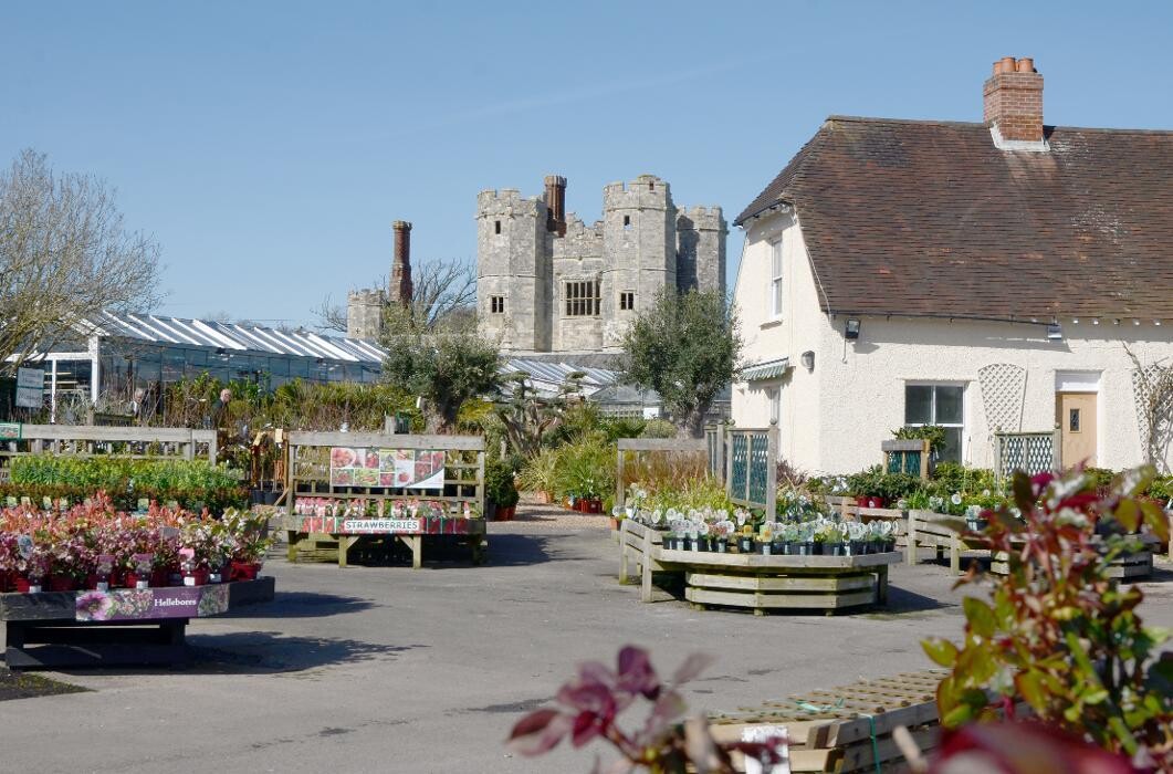Images Stewarts Abbey Garden Centre