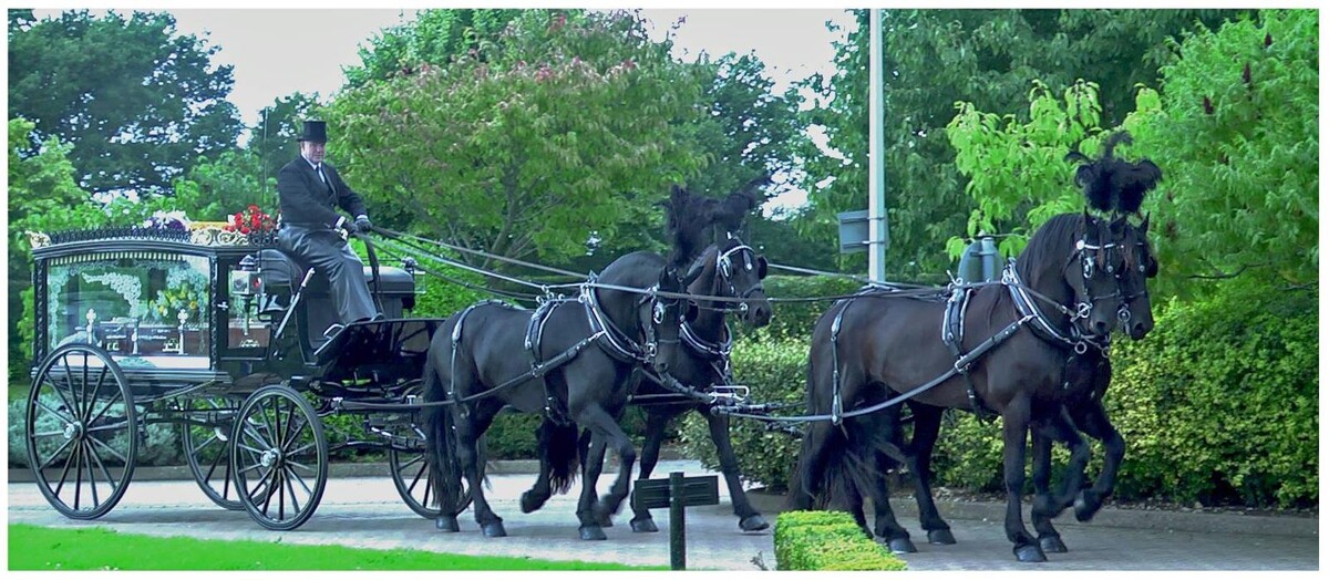 Images Austins Funeral Directors